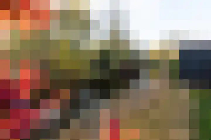 van der Helstlaan 14 Naarden thumbnail 38
