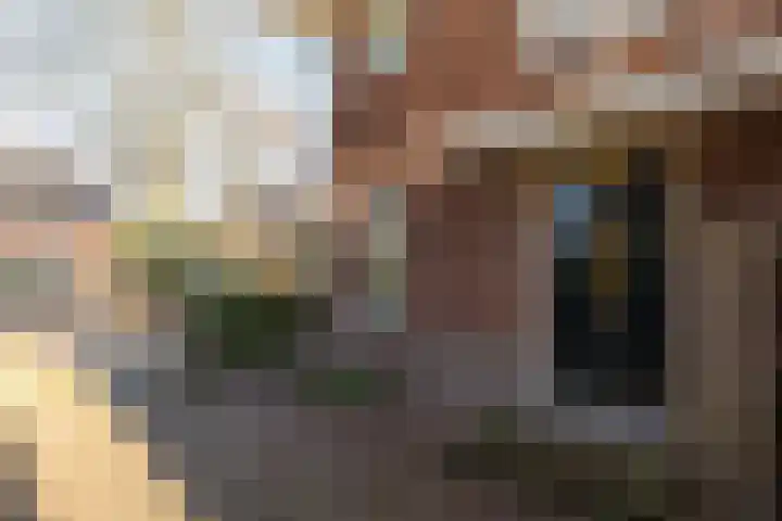 van der Helstlaan 14 Naarden thumbnail 4