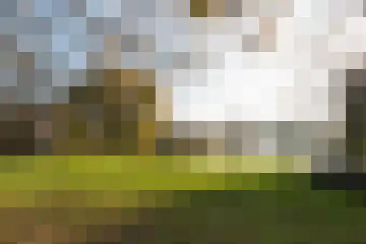 van der Helstlaan 14 Naarden thumbnail 41