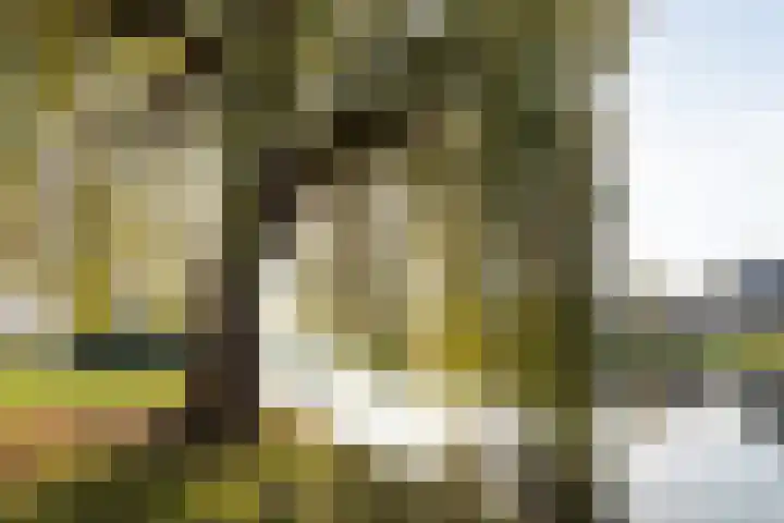 van der Helstlaan 14 Naarden thumbnail 43