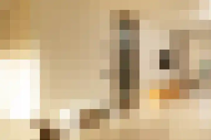van der Helstlaan 14 Naarden thumbnail 7