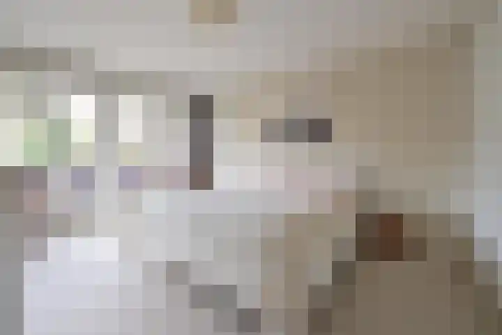 Van der Helstlaan 17 Hilversum thumbnail 15