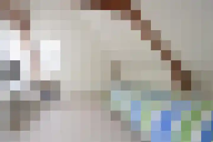 Van der Helstlaan 17 Hilversum thumbnail 20