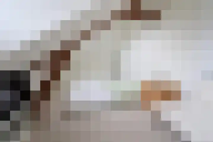 Van der Helstlaan 17 Hilversum thumbnail 21