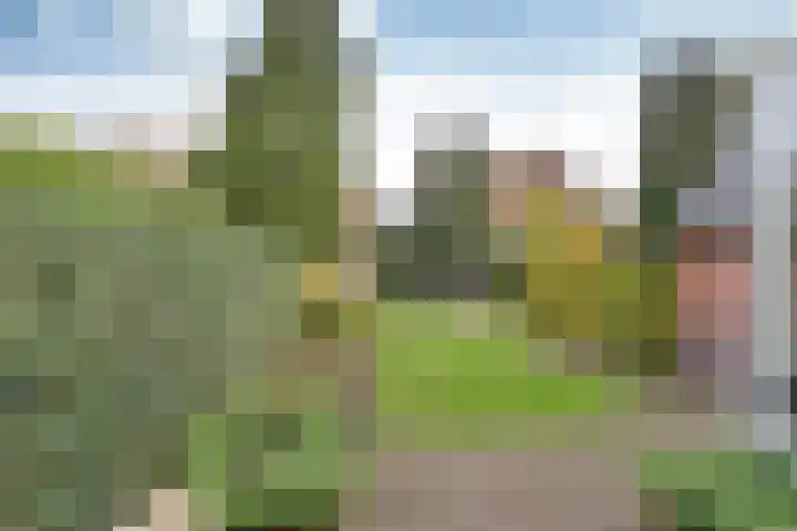 Van der Helstlaan 17 Hilversum thumbnail 24