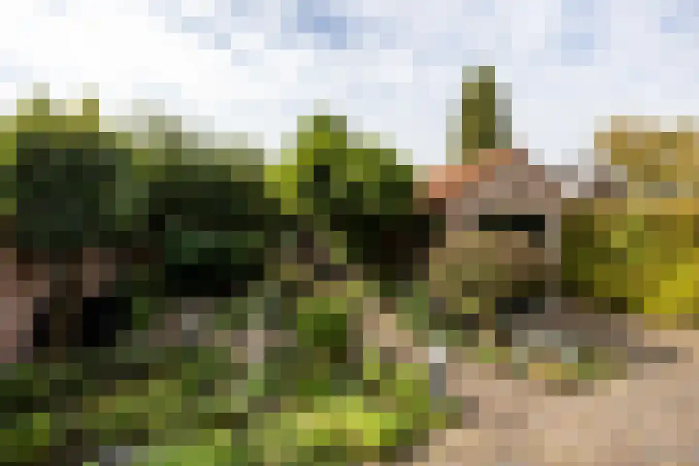 van der Helstlaan 18 Loosdrecht thumbnail 19
