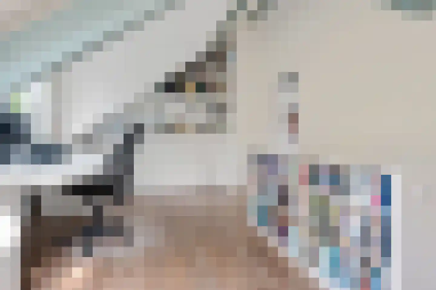 Van der Helstlaan 21 Bilthoven thumbnail 31