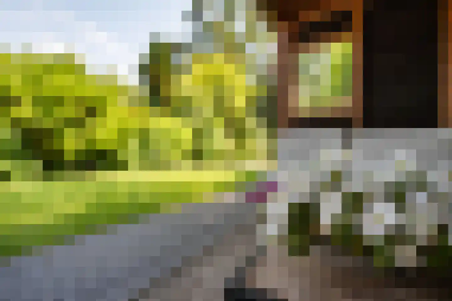 Van der Helstlaan 21 Bilthoven thumbnail 38