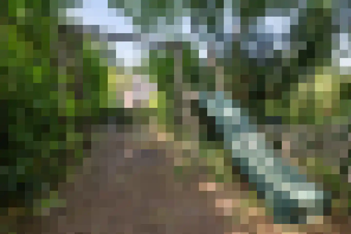 Van der Helstlaan 21 Bilthoven thumbnail 40