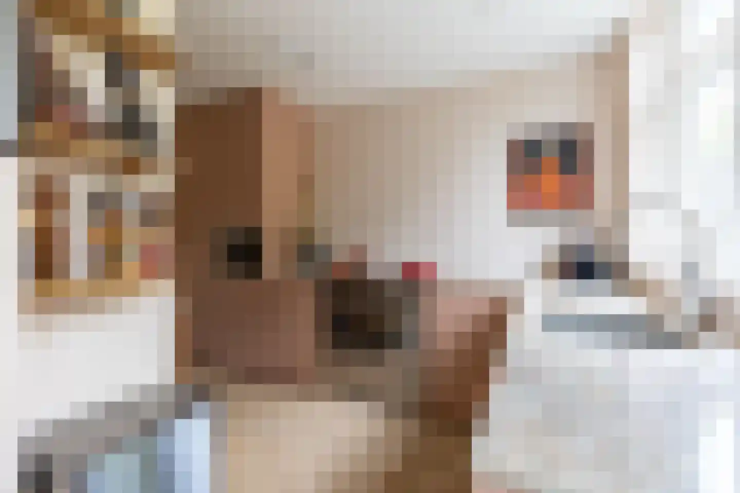 van der Helstlaan 25 Naarden thumbnail 16