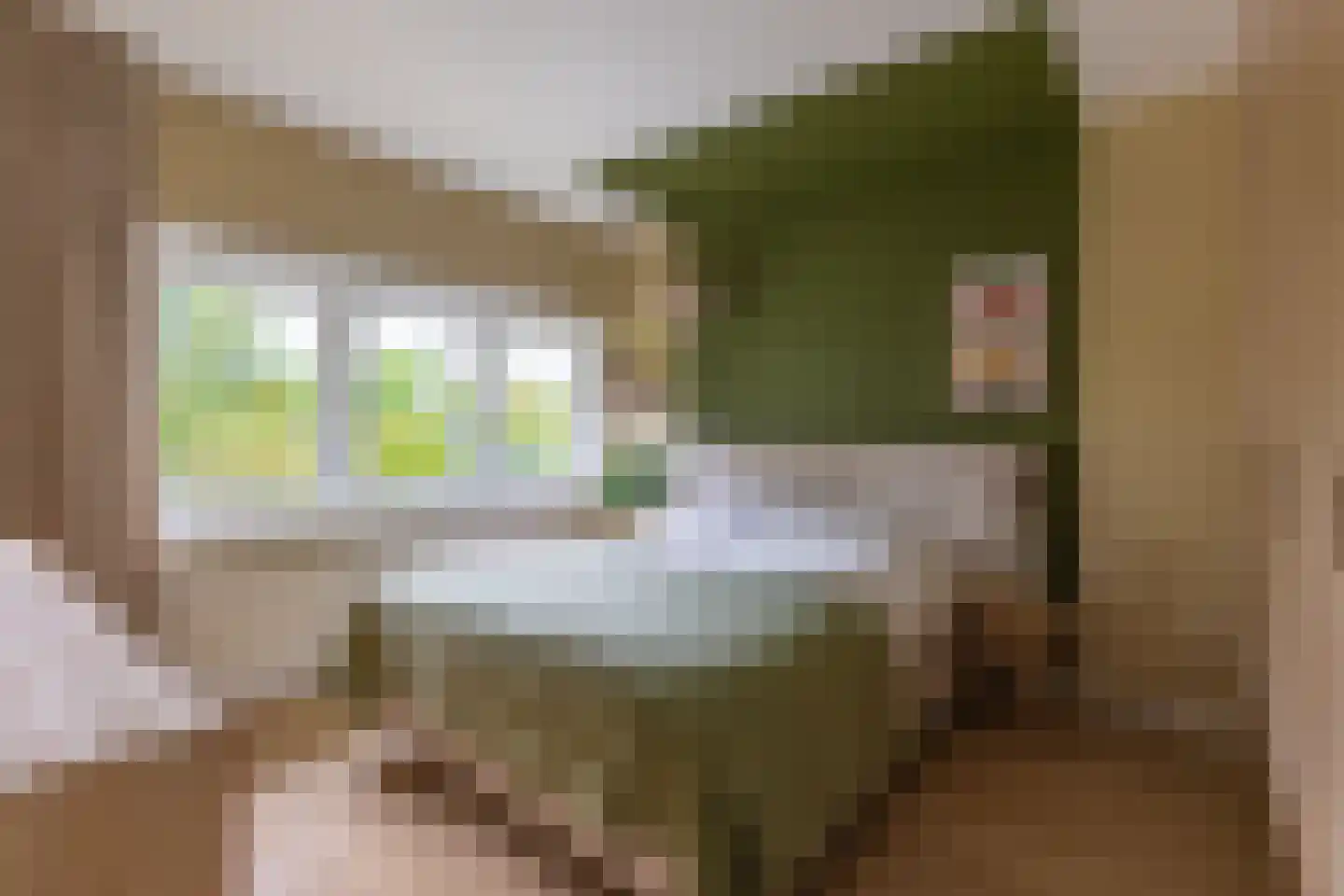 van der Helstlaan 25 Naarden thumbnail 24