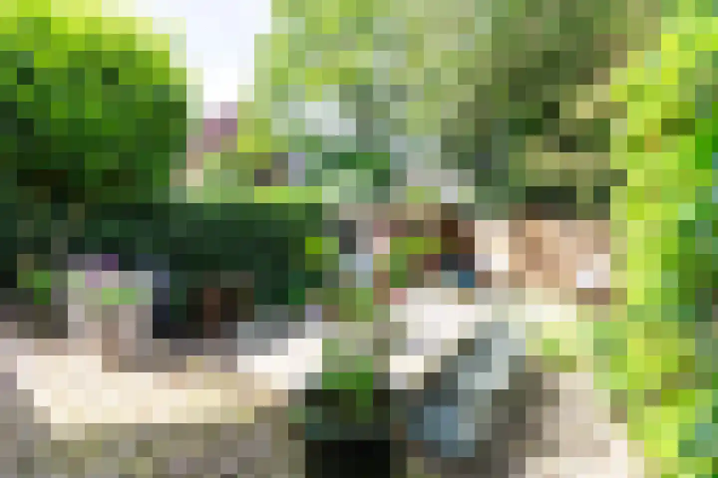 van der Helstlaan 25 Naarden thumbnail 36