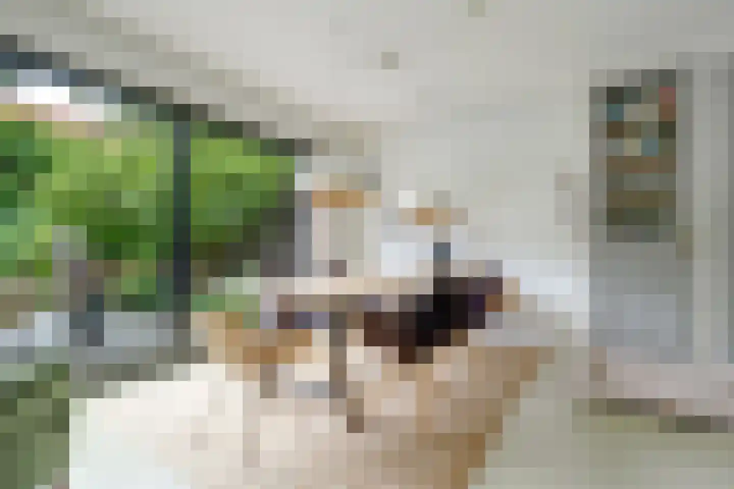 Van der Helstlaan 29 Bilthoven thumbnail 11