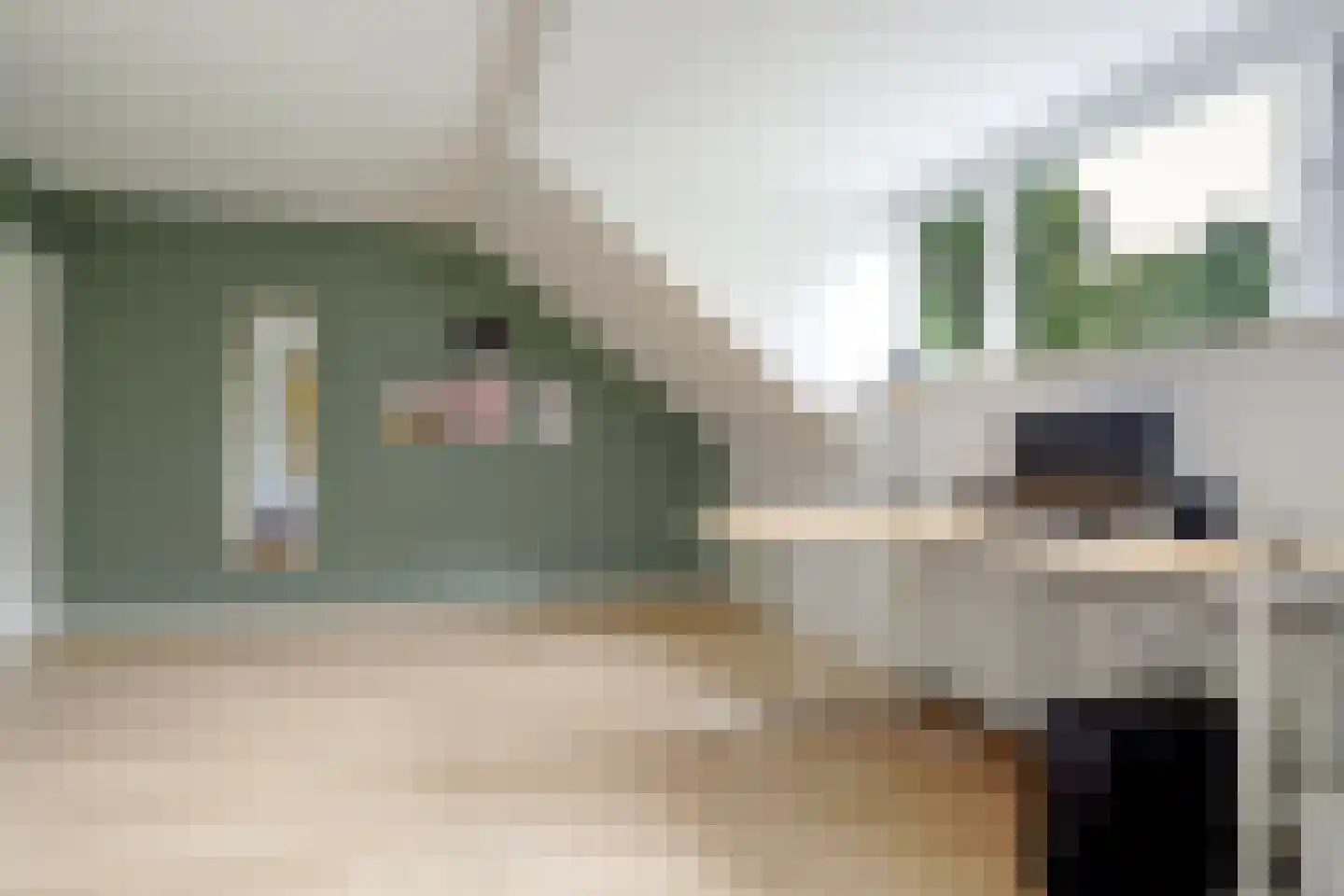 Van der Helstlaan 29 Bilthoven thumbnail 24