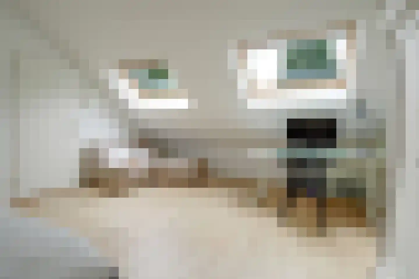 Van der Helstlaan 29 Bilthoven thumbnail 28