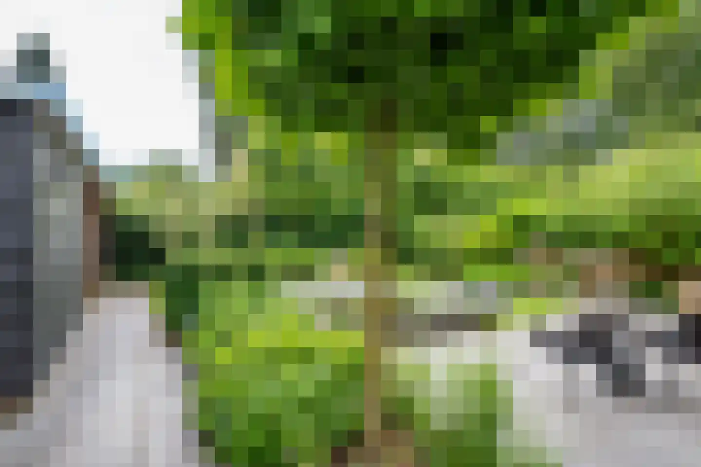 Van der Helstlaan 29 Bilthoven thumbnail 34
