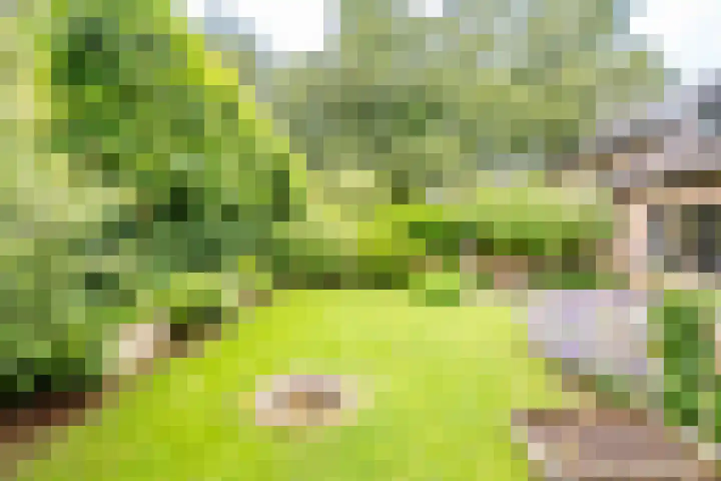 Van der Helstlaan 29 Bilthoven thumbnail 37