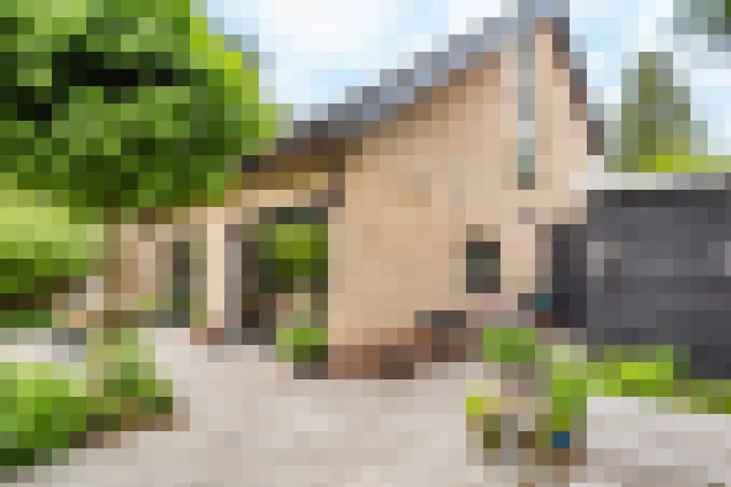 Van der Helstlaan 29 Bilthoven thumbnail 38