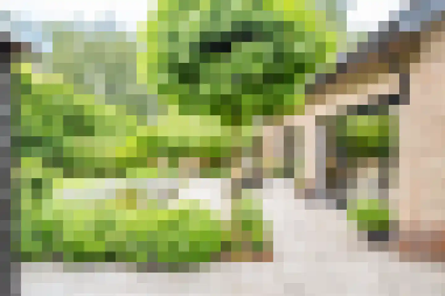 Van der Helstlaan 29 Bilthoven thumbnail 39