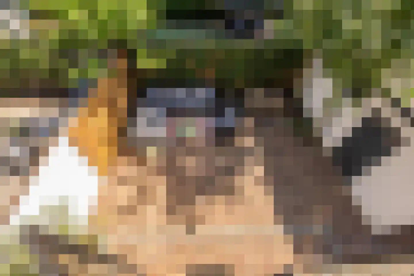 Van der Helstlaan 29 Hilversum thumbnail 44