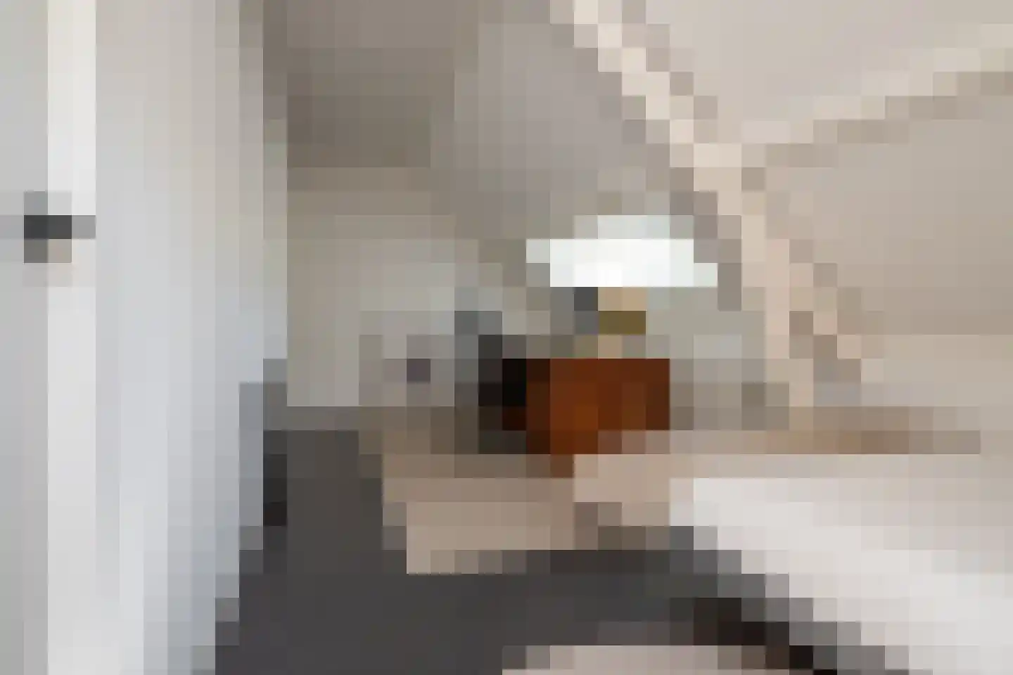 Van der Helstlaan 29 Hilversum thumbnail 52