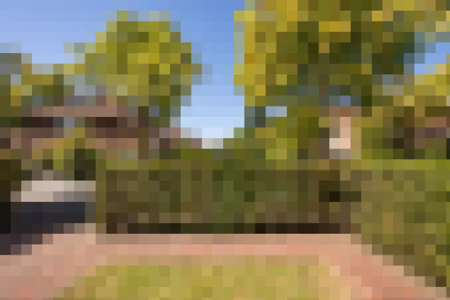 Van der Helstlaan 29 Hilversum thumbnail 64