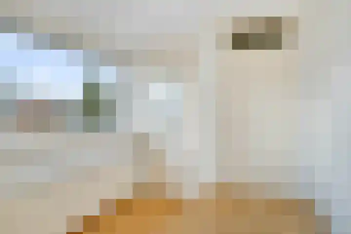 Van der Helstlaan 3 Vlissingen thumbnail 23