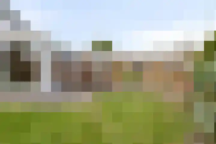 Van der Helstlaan 3 Vlissingen thumbnail 29