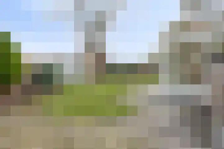 Van der Helstlaan 3 Vlissingen thumbnail 31
