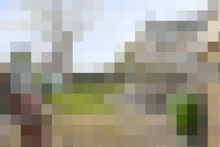 Van der Helstlaan 3 Vlissingen thumbnail 35