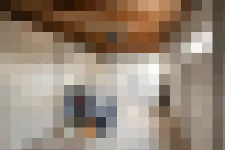 Van der Helstlaan 3 Vlissingen thumbnail 37