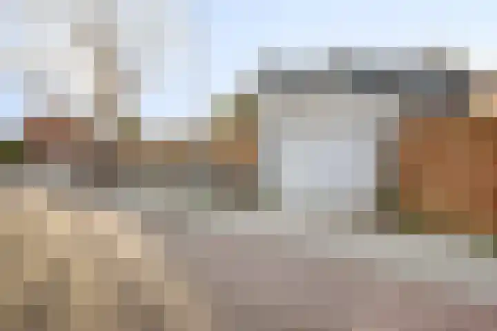 Van der Helstlaan 3 Vlissingen thumbnail 38