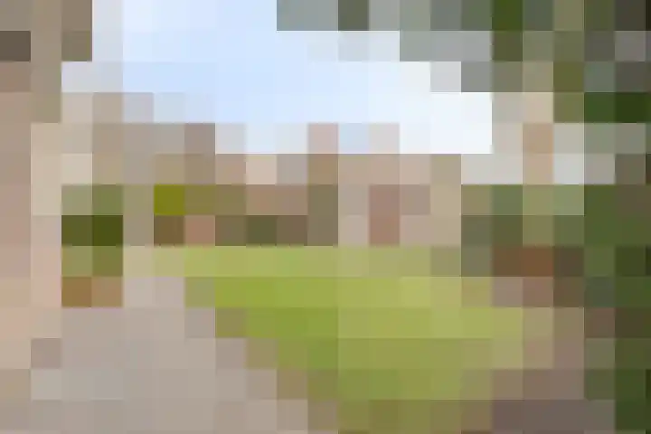 Van der Helstlaan 3 Vlissingen thumbnail 4