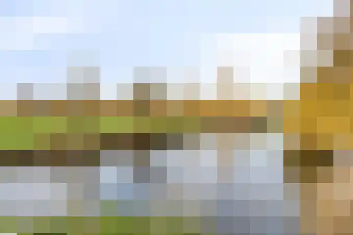 Van der Helstlaan 3 Vlissingen thumbnail 42