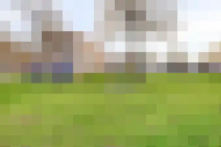 Van der Helstlaan 3 Vlissingen thumbnail 43