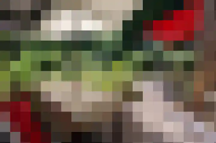 Van der Helstlaan 31 Bilthoven thumbnail 36