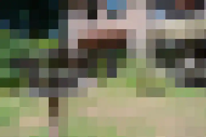 Van der Helstlaan 31 Bilthoven thumbnail 37