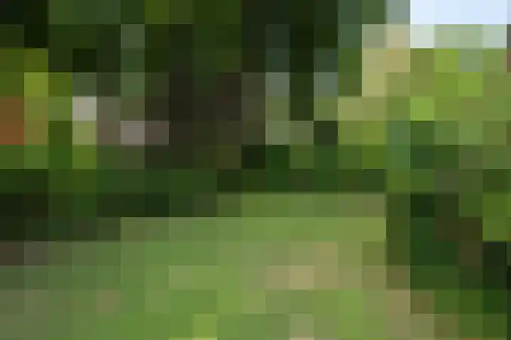 Van der Helstlaan 31 Bilthoven thumbnail 38