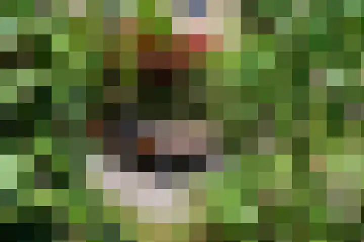 Van der Helstlaan 31 Bilthoven thumbnail 39