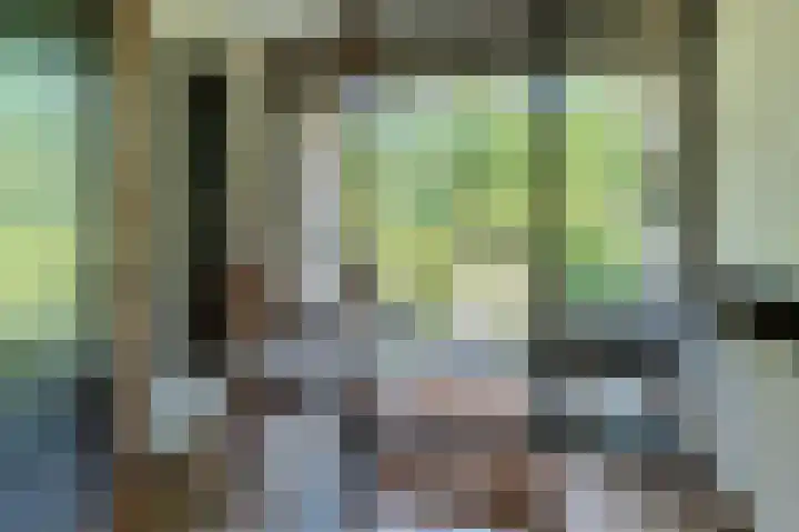 Van der Helstlaan 31 Bilthoven thumbnail 4
