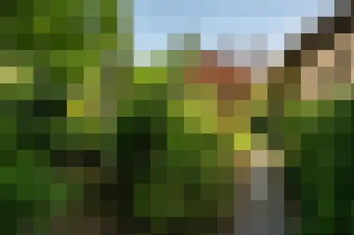 Van der Helstlaan 31 Bilthoven thumbnail 41