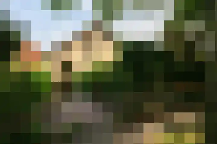 Van der Helstlaan 31 Bilthoven thumbnail 42