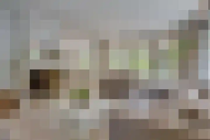 Van der Helstlaan 4 Huis ter Heide thumbnail 10