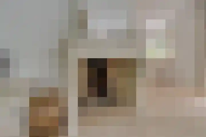 Van der Helstlaan 4 Huis ter Heide thumbnail 11