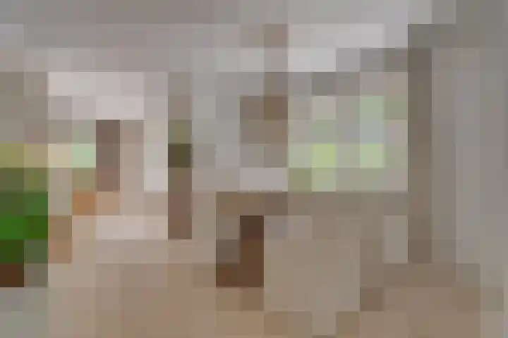 Van der Helstlaan 4 Huis ter Heide thumbnail 13
