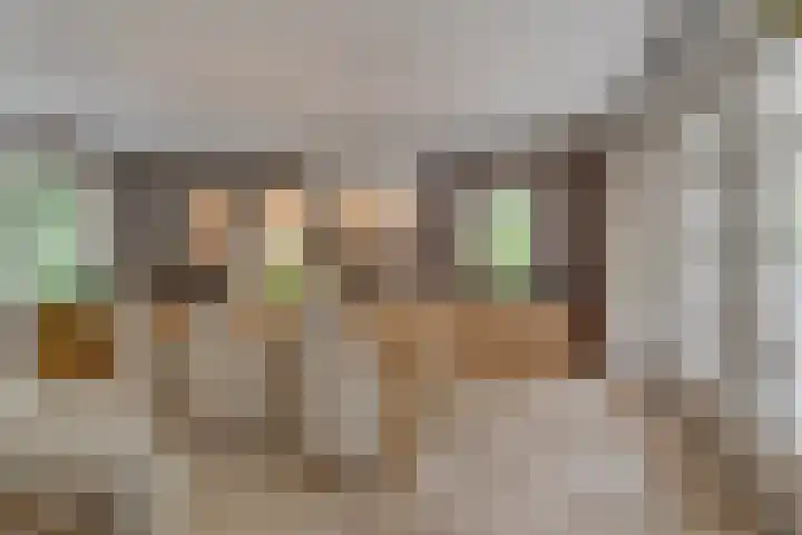 Van der Helstlaan 4 Huis ter Heide thumbnail 14