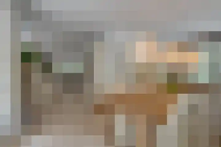 Van der Helstlaan 4 Huis ter Heide thumbnail 16
