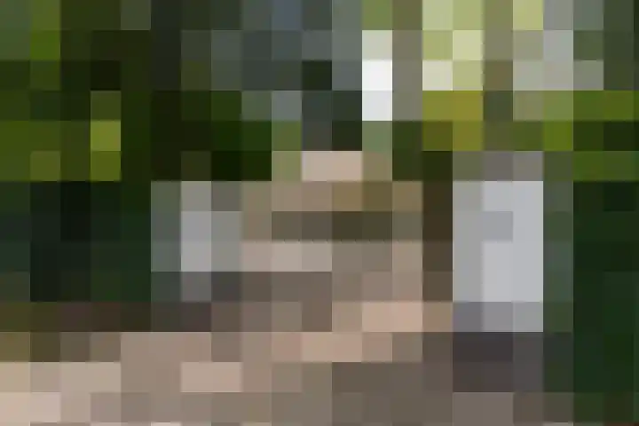 Van der Helstlaan 4 Huis ter Heide foto 2