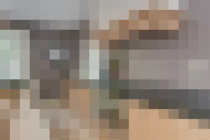 Van der Helstlaan 4 Huis ter Heide thumbnail 20