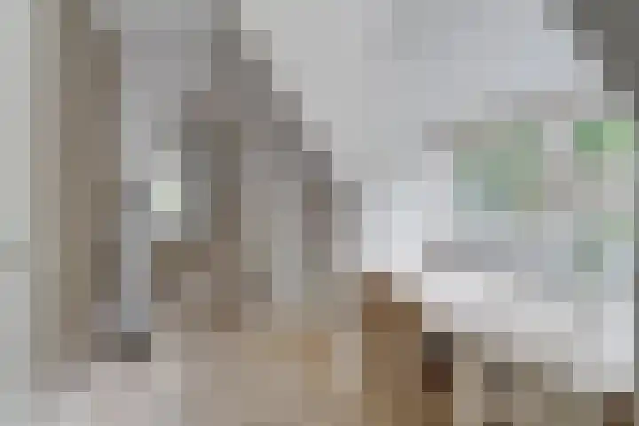 Van der Helstlaan 4 Huis ter Heide thumbnail 27